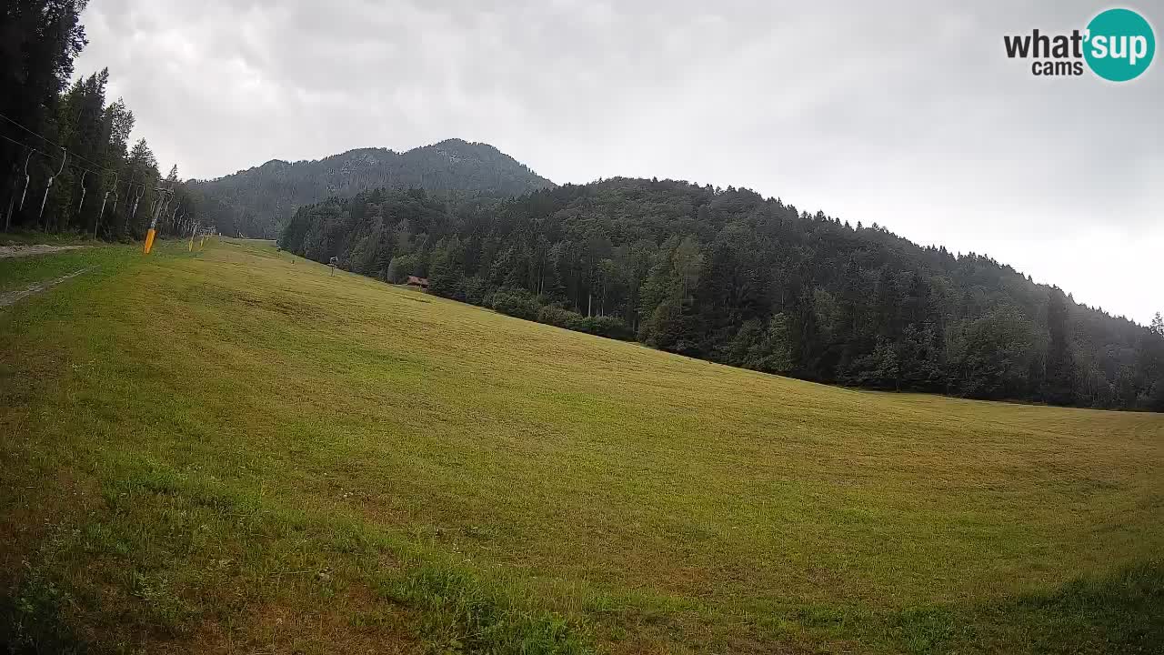 Kranjska Gora Station de ski | Brsnina