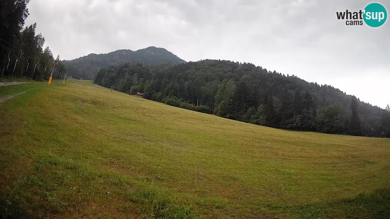 RTC Kranjska Gora | Brsnina