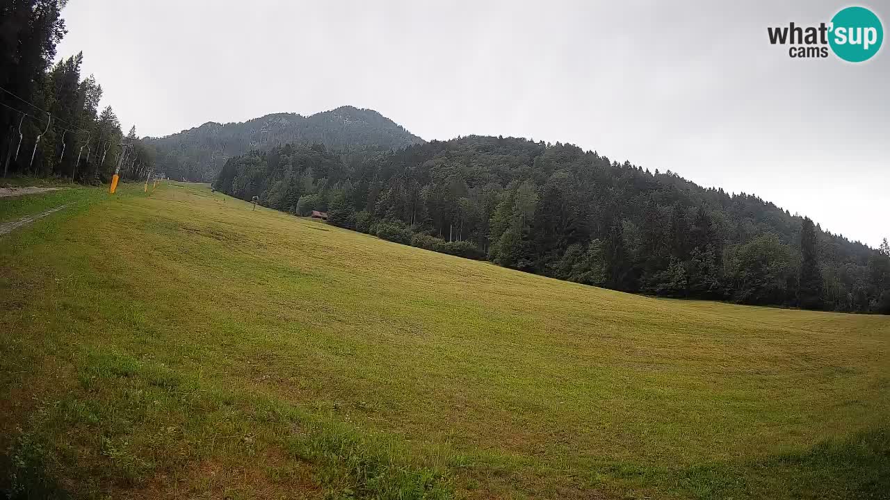RTC Kranjska Gora | Brsnina