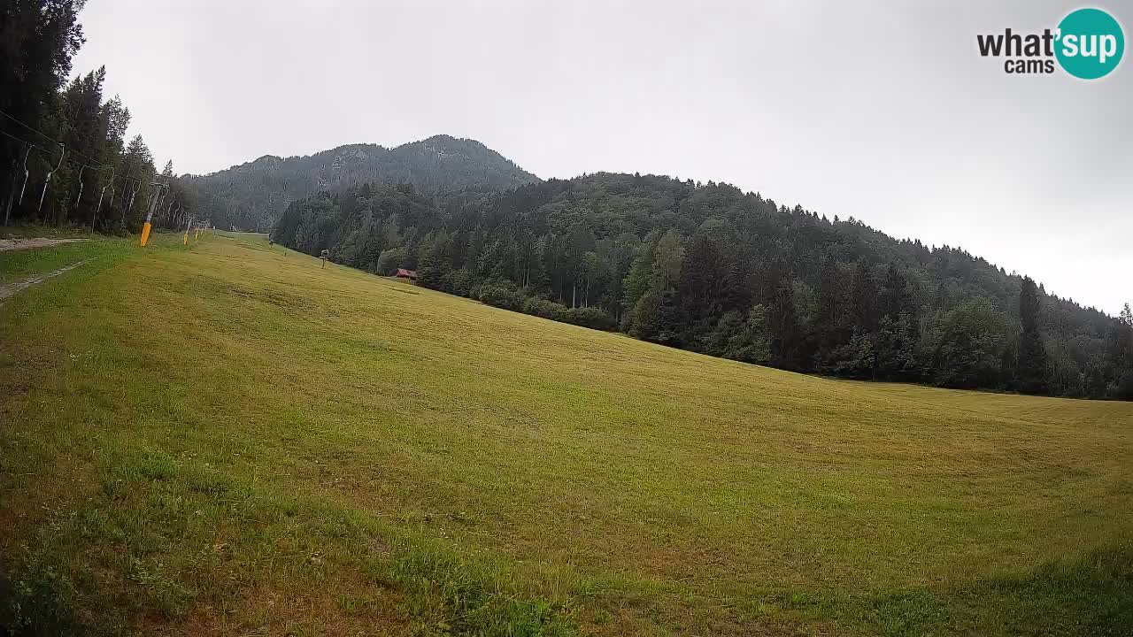 Ski Kranjska Gora | Brsnina
