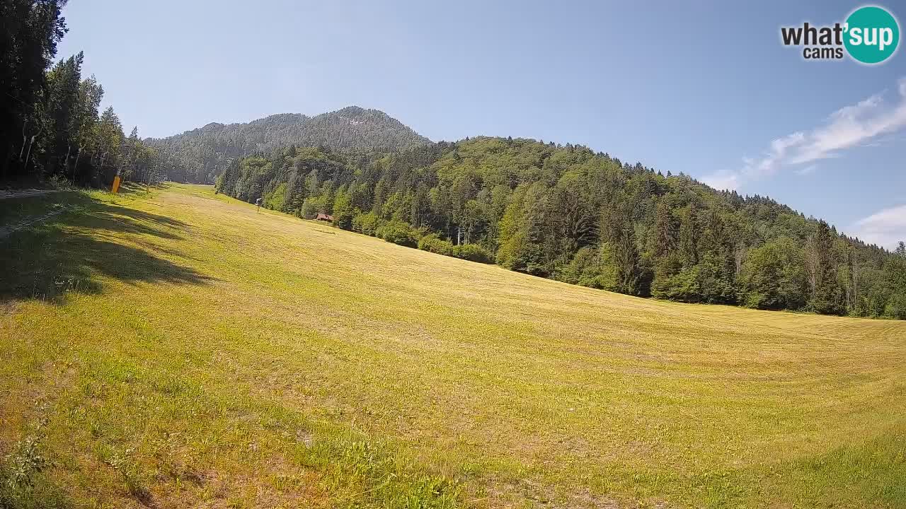 Esquí Kranjska Gora | Brsnina
