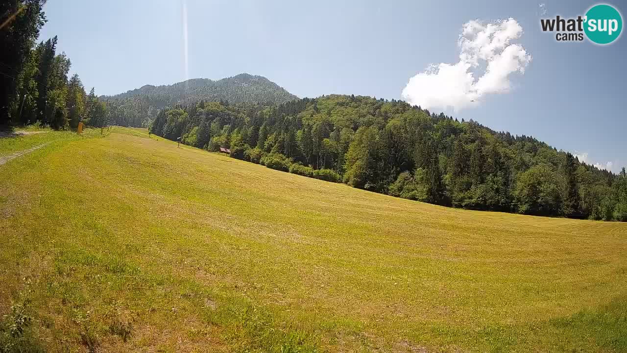 Ski Kranjska Gora | Brsnina