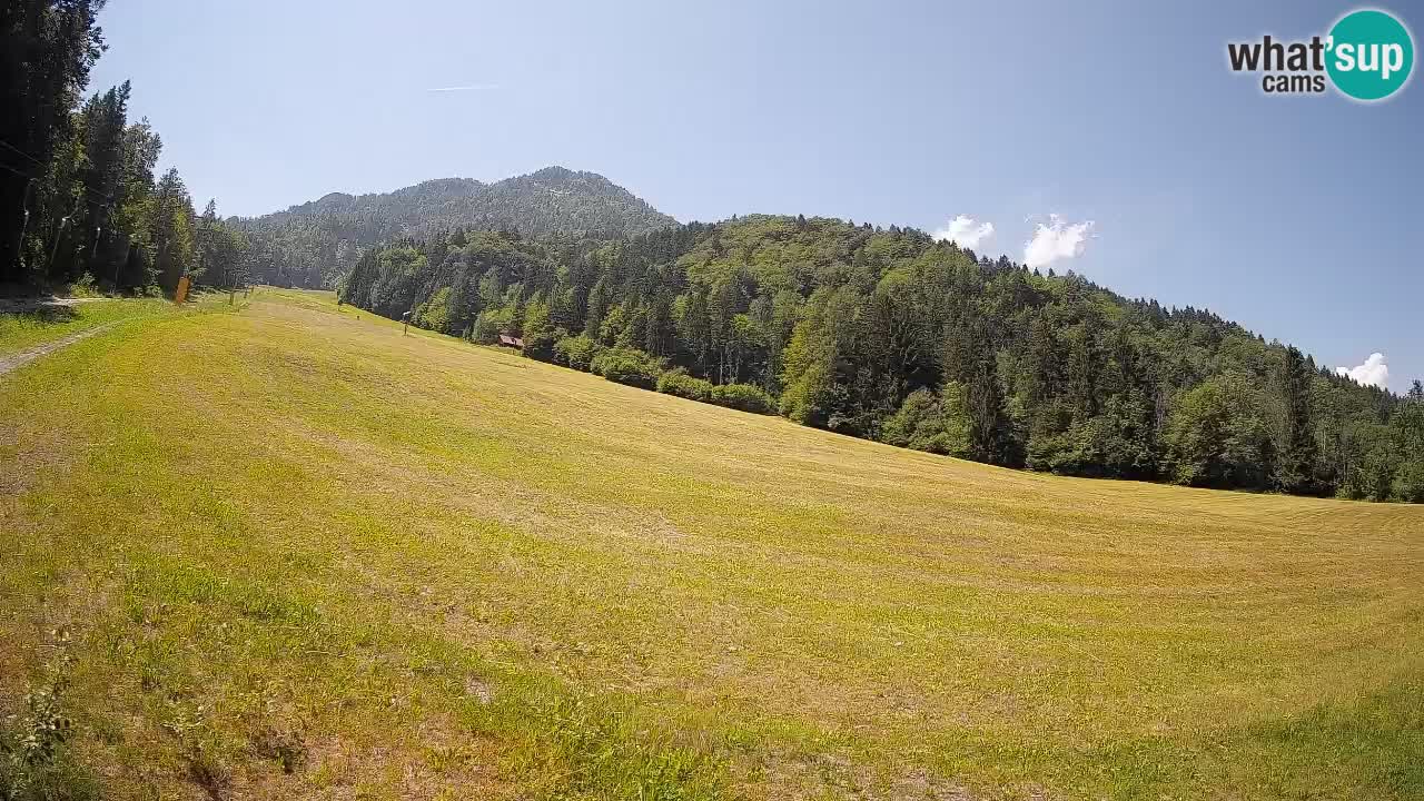 Esquí Kranjska Gora | Brsnina