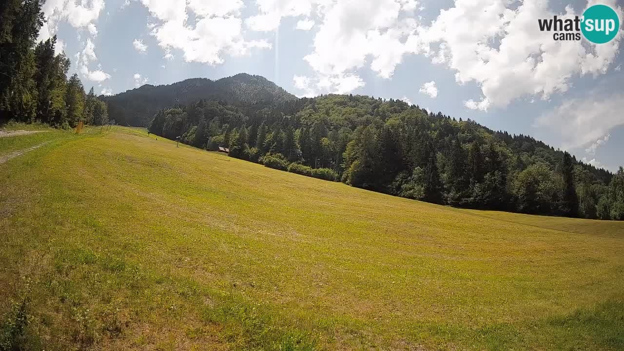 Comprensorio sciistico Kranjska Gora | Brsnina