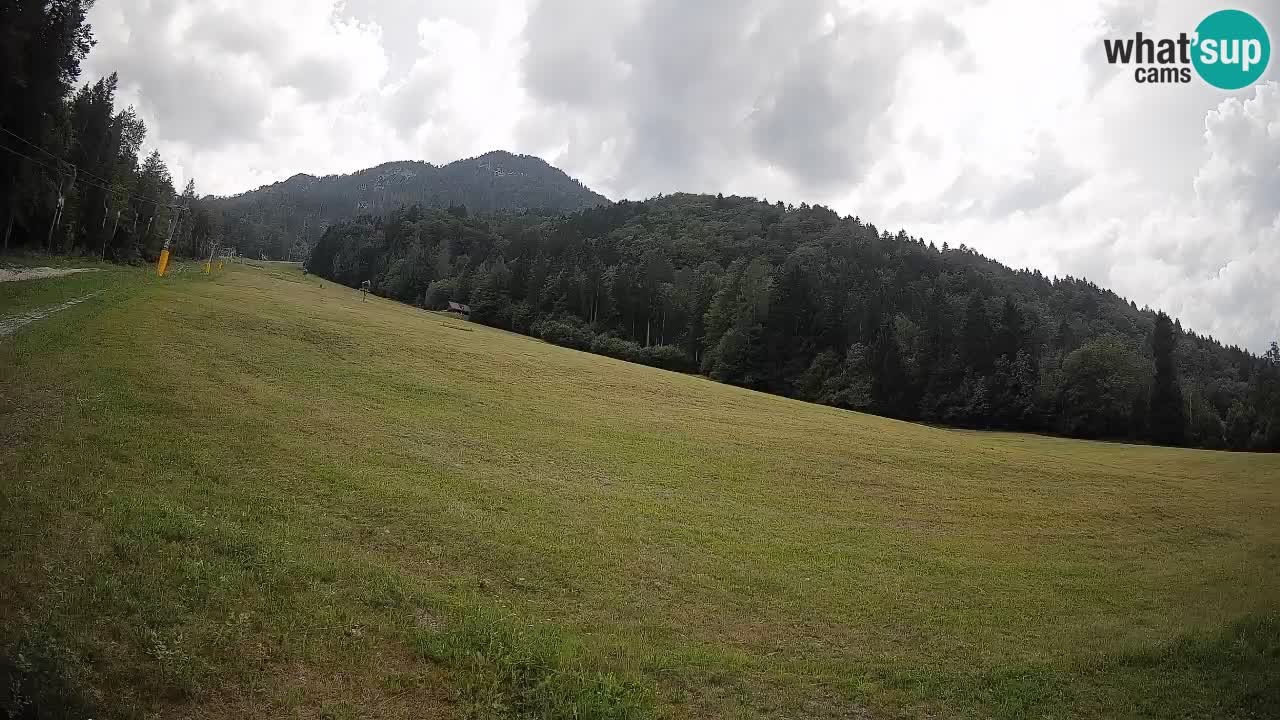 Comprensorio sciistico Kranjska Gora | Brsnina