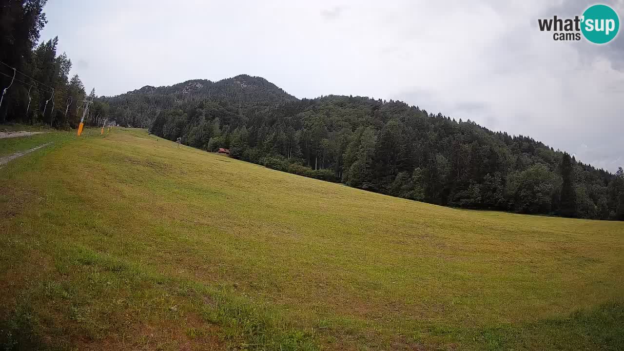 Kranjska Gora SKIJANJE | Brsnina