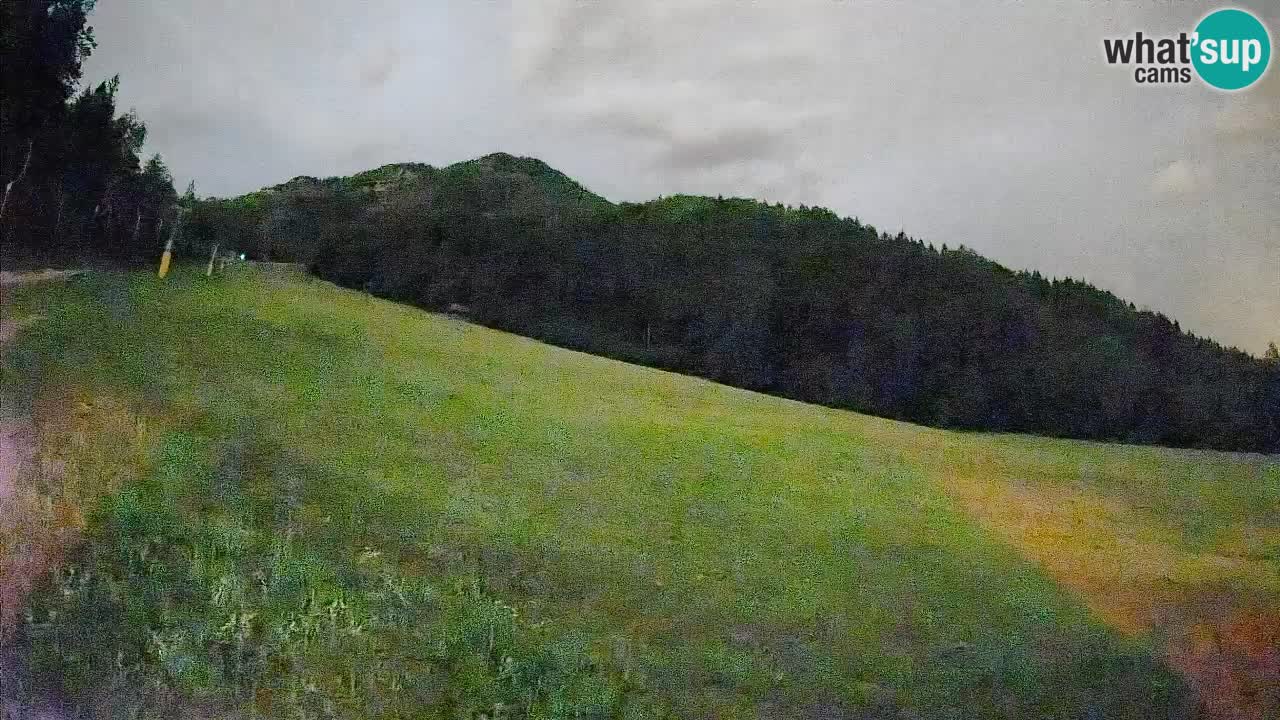 Ski Kranjska Gora | Brsnina