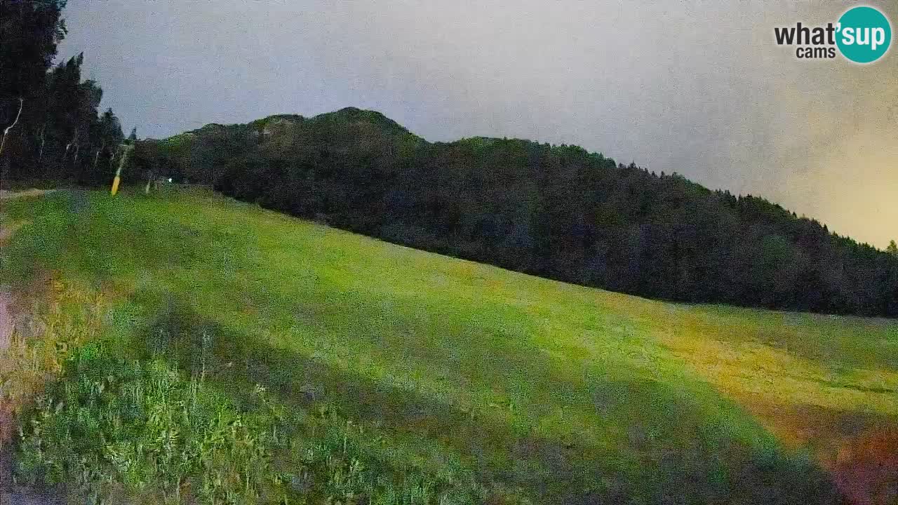 RTC Skigebiet Kranjska Gora | Brsnina