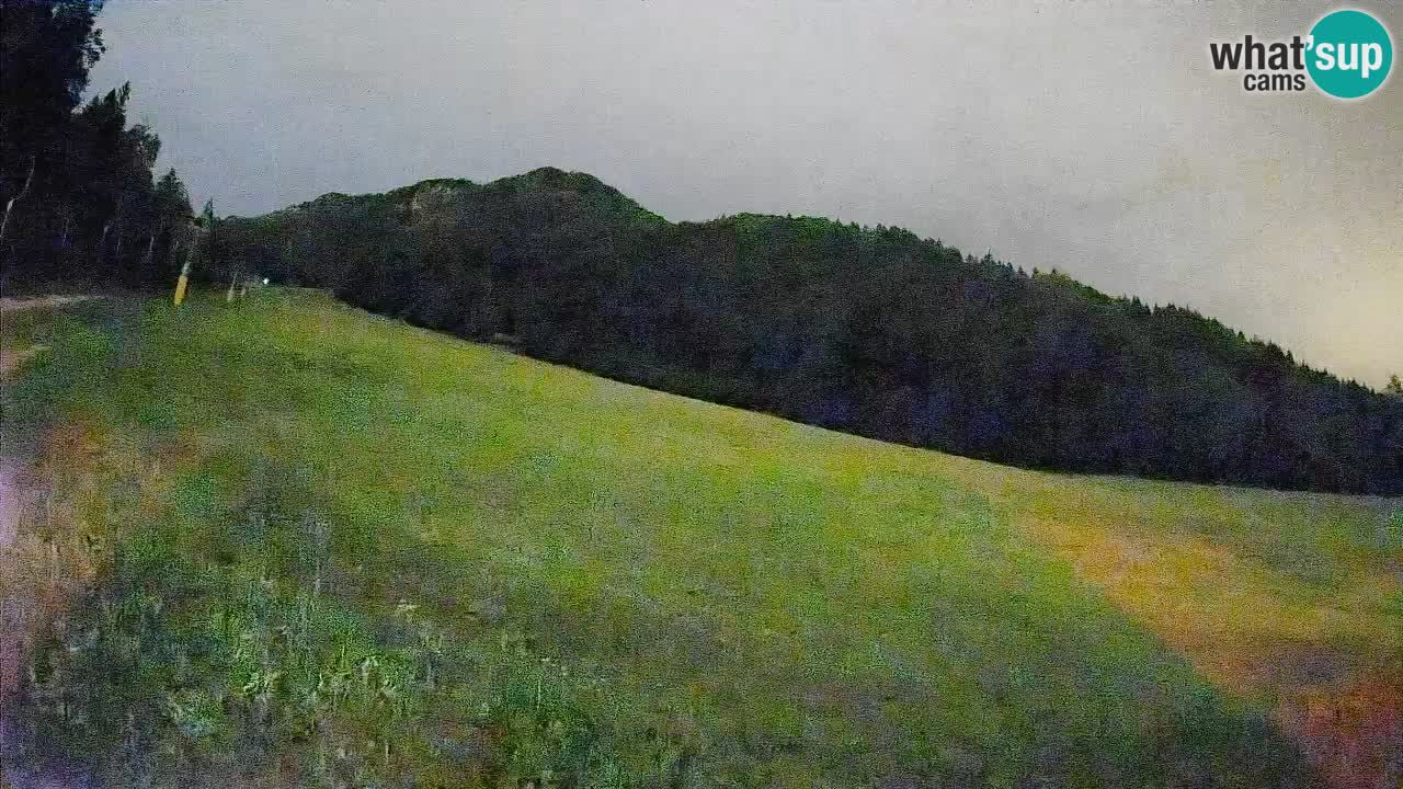 Ski Kranjska Gora | Brsnina