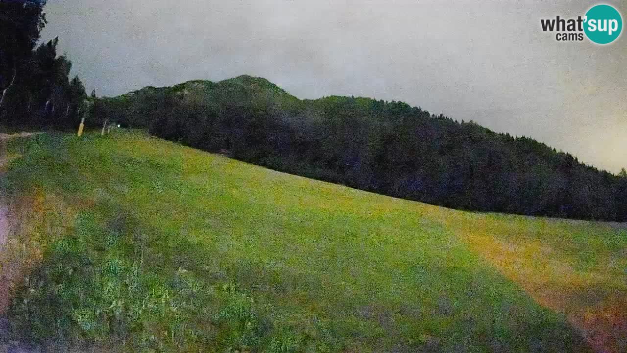 RTC Kranjska Gora | Brsnina