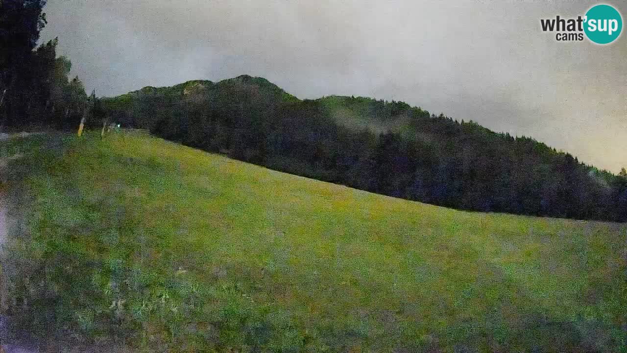 Ski Kranjska Gora | Brsnina