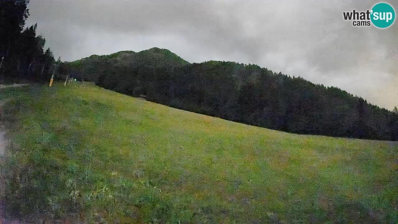 Comprensorio sciistico Kranjska Gora | Brsnina