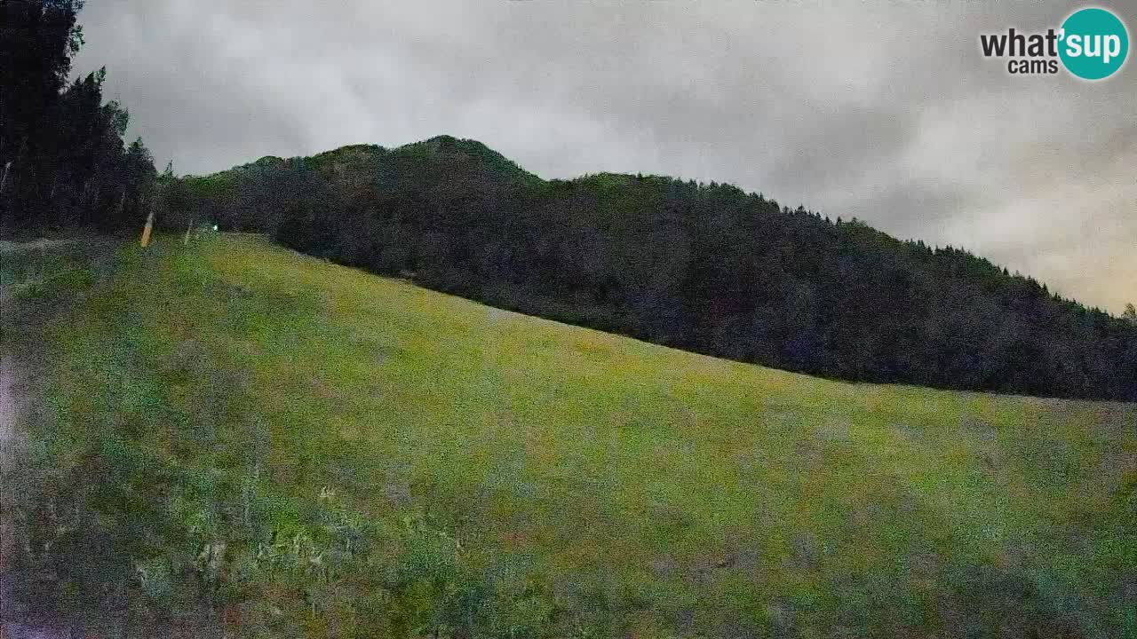 RTC Skigebiet Kranjska Gora | Brsnina