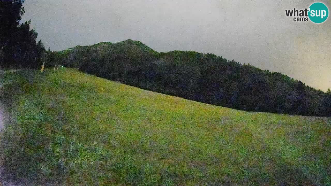 Comprensorio sciistico Kranjska Gora | Brsnina