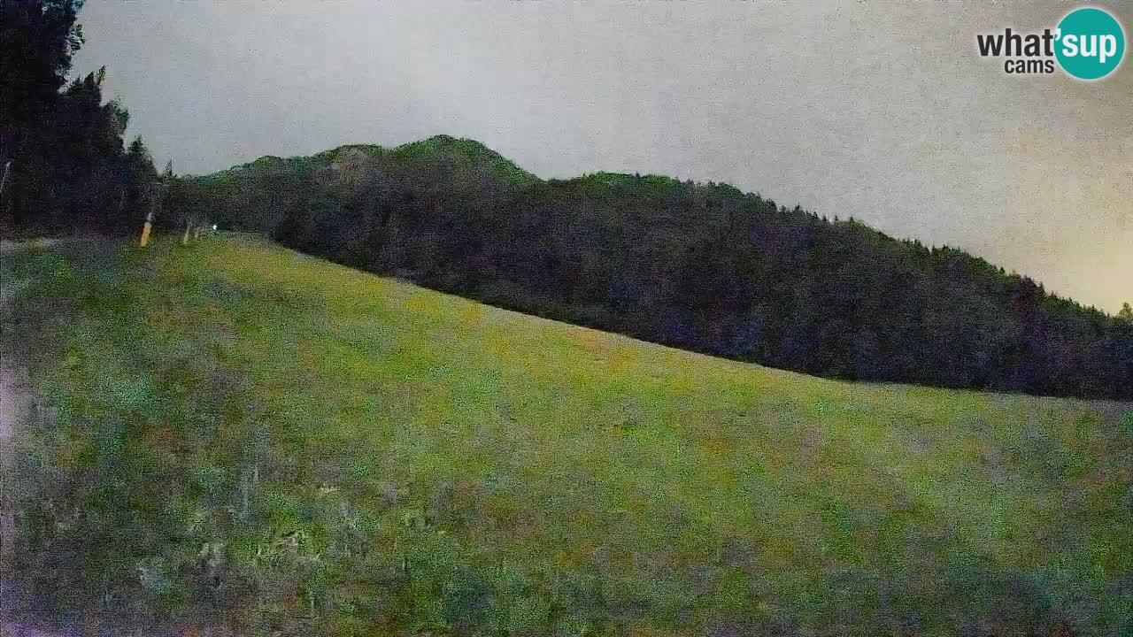 RTC Skigebiet Kranjska Gora | Brsnina