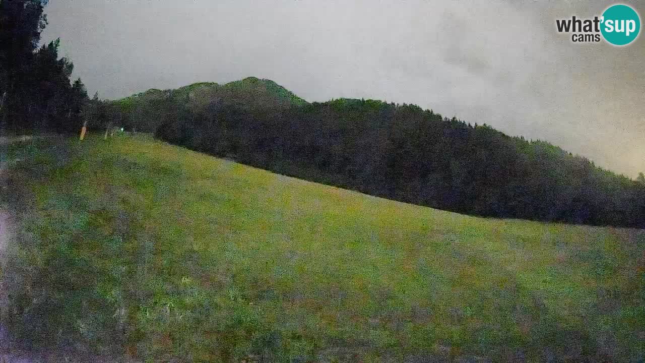 RTC Kranjska Gora | Brsnina
