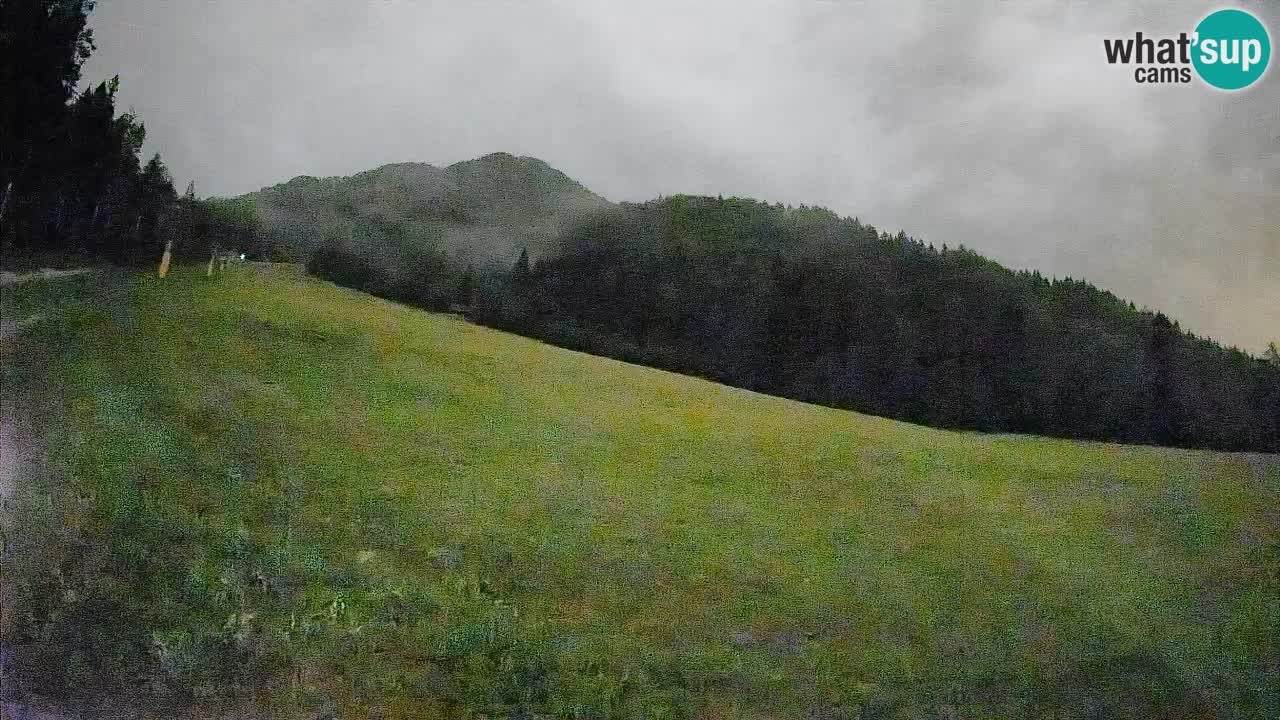 Kranjska Gora Station de ski | Brsnina