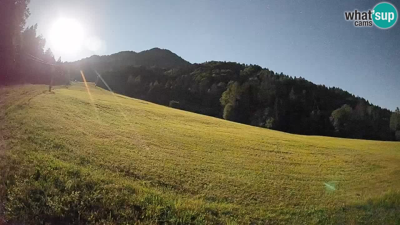 Ski Kranjska Gora | Brsnina