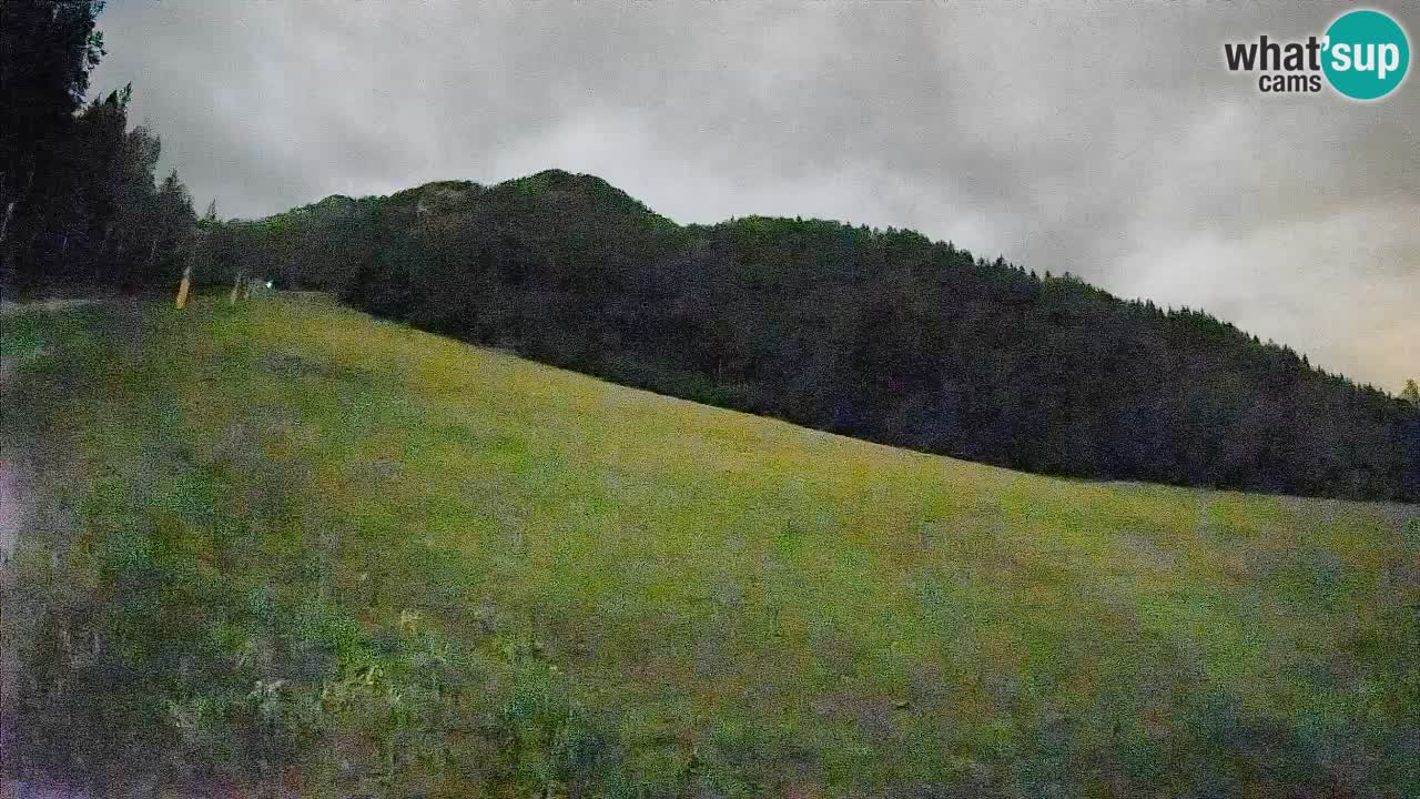 RTC Skigebiet Kranjska Gora | Brsnina