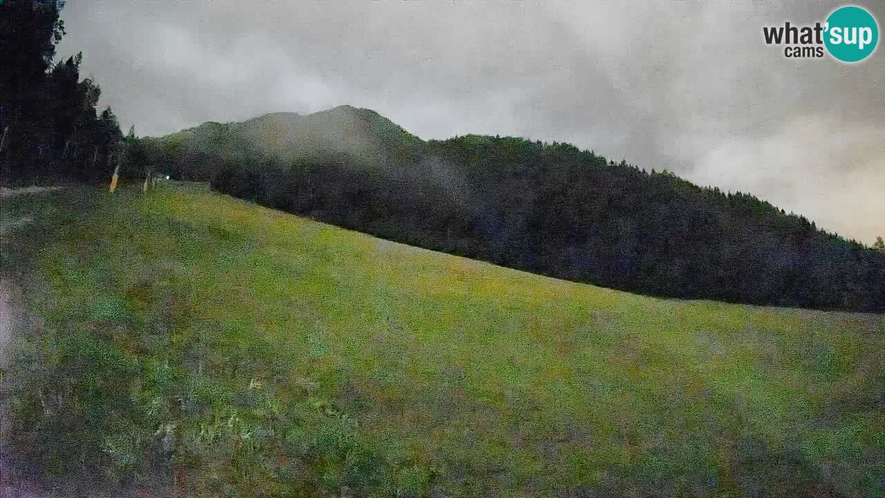 RTC Skigebiet Kranjska Gora | Brsnina