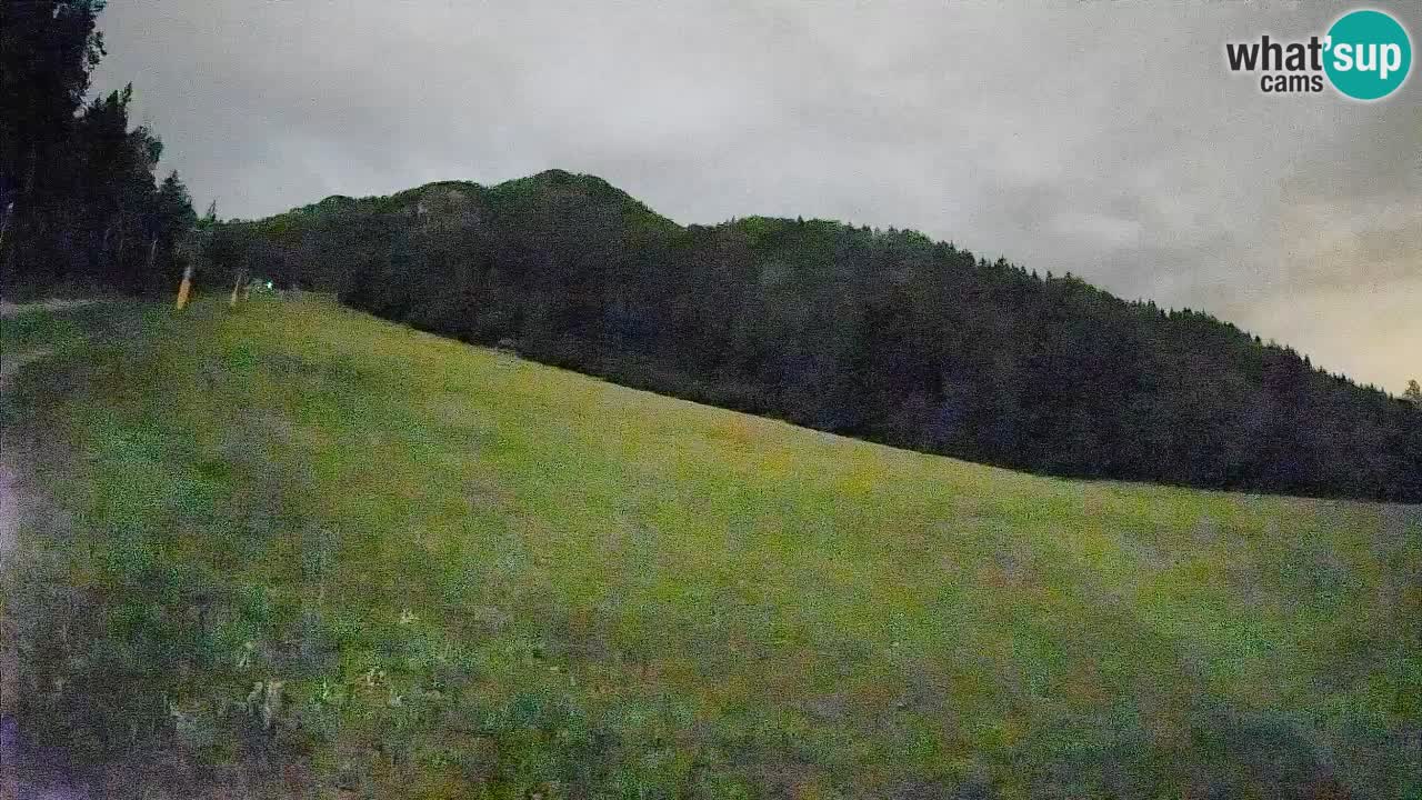 Esquí Kranjska Gora | Brsnina