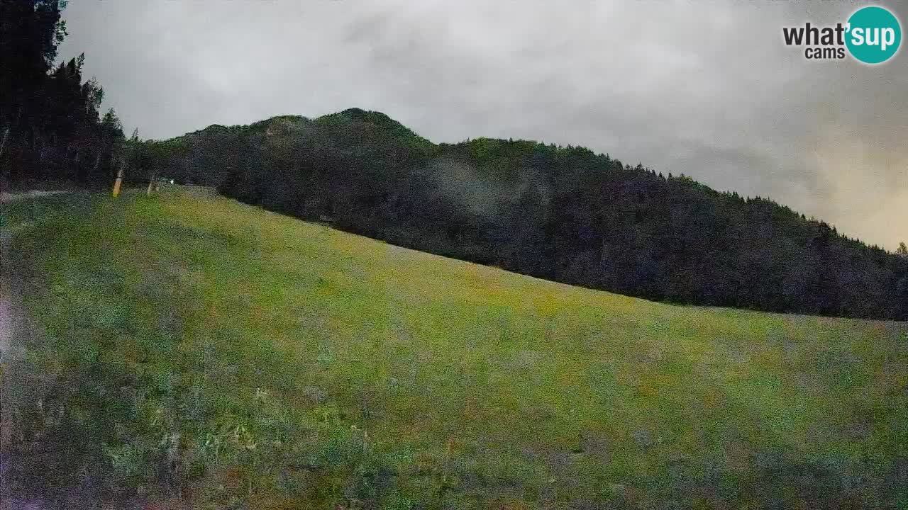 Comprensorio sciistico Kranjska Gora | Brsnina