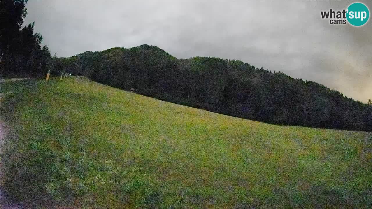 Kranjska Gora Station de ski | Brsnina