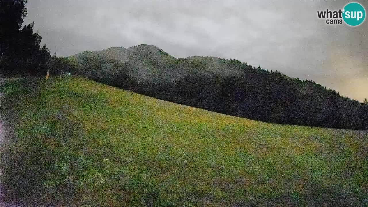 Esquí Kranjska Gora | Brsnina