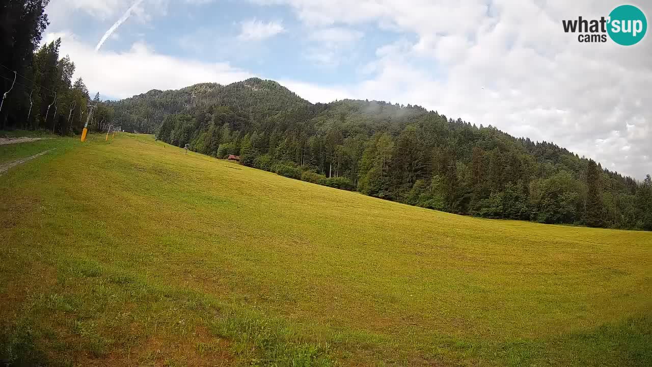 RTC Kranjska Gora | Brsnina
