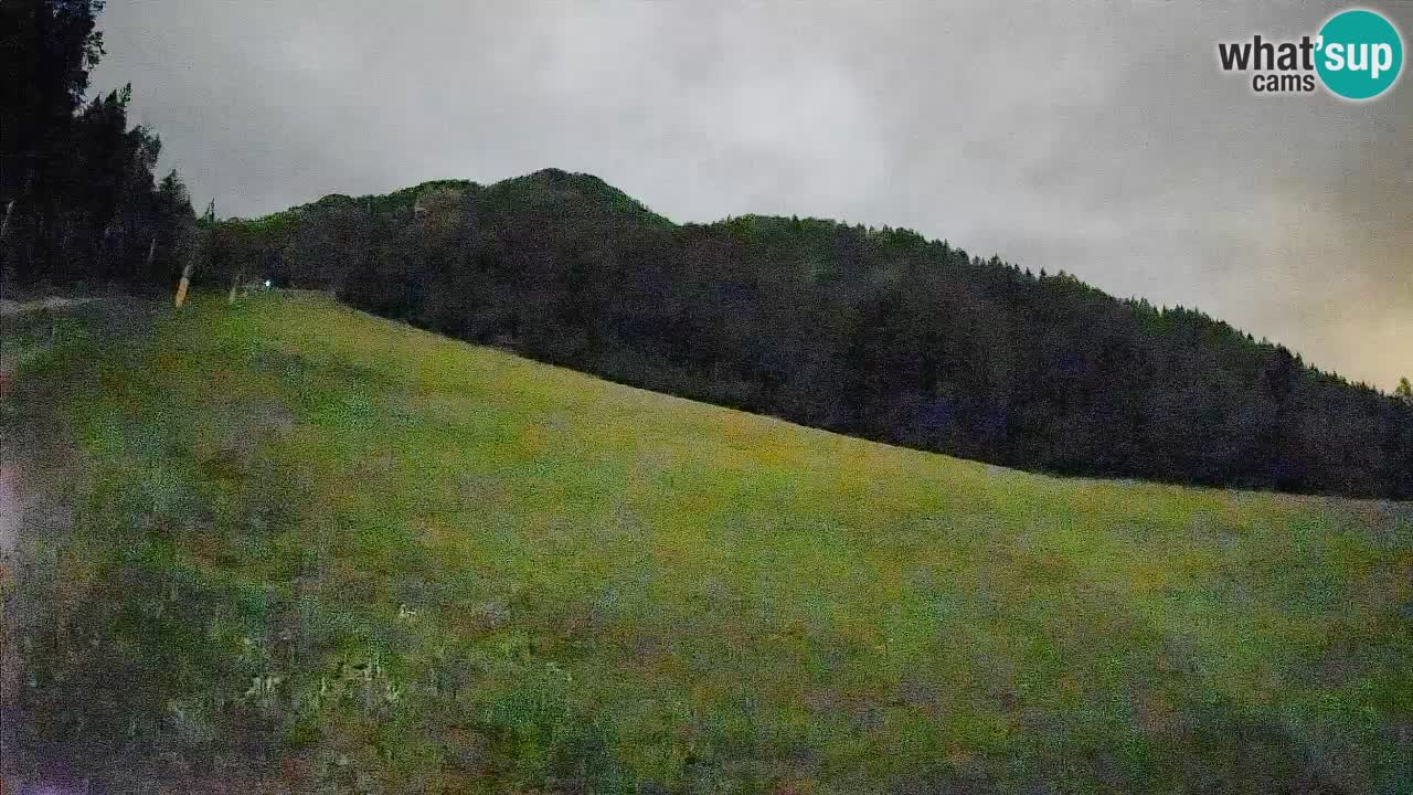 Esquí Kranjska Gora | Brsnina