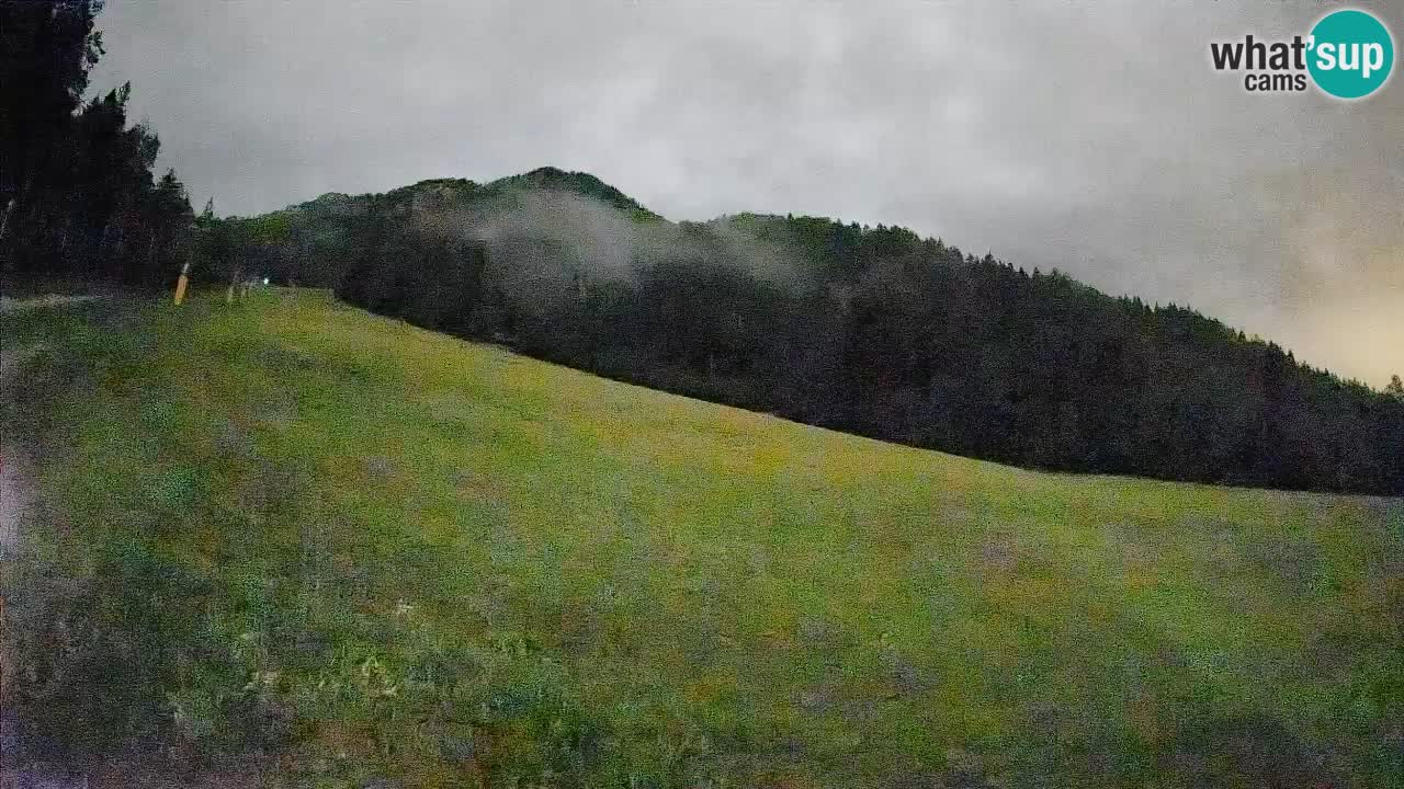 Kranjska Gora Station de ski | Brsnina