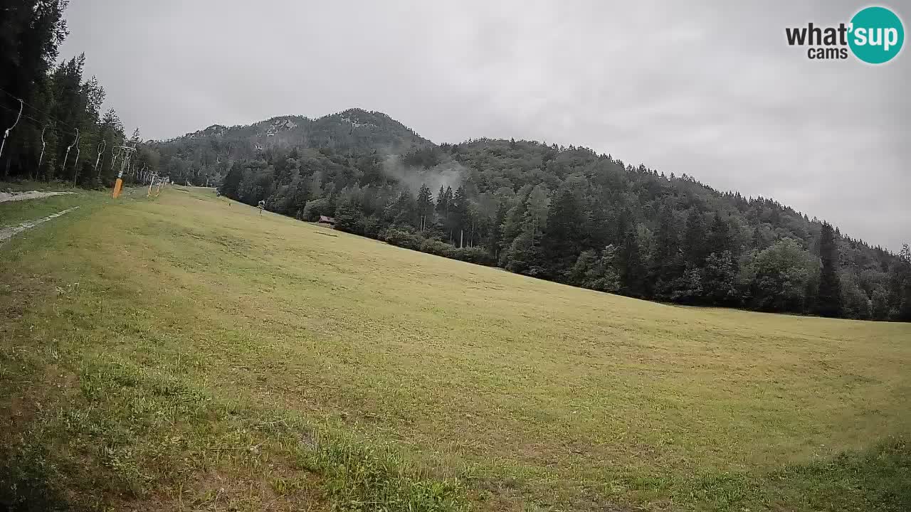 Esquí Kranjska Gora | Brsnina