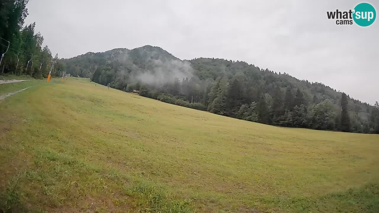 Comprensorio sciistico Kranjska Gora | Brsnina