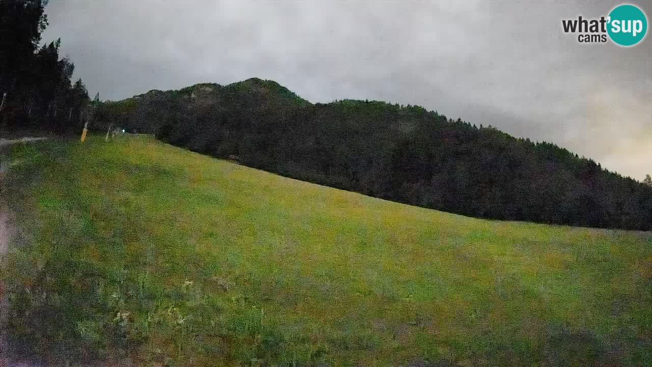 Comprensorio sciistico Kranjska Gora | Brsnina