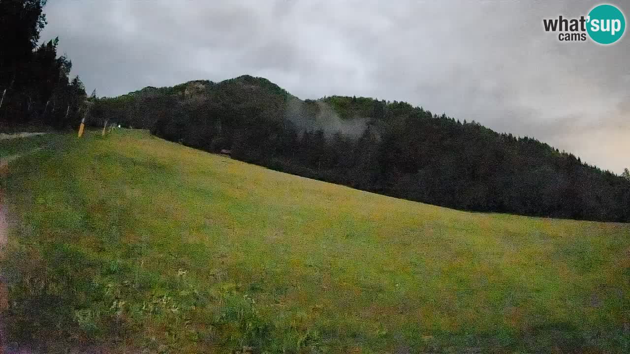 Comprensorio sciistico Kranjska Gora | Brsnina
