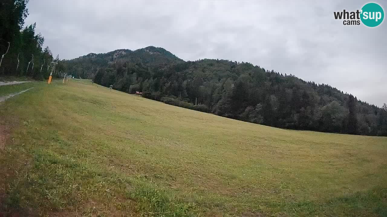 Ski Kranjska Gora | Brsnina