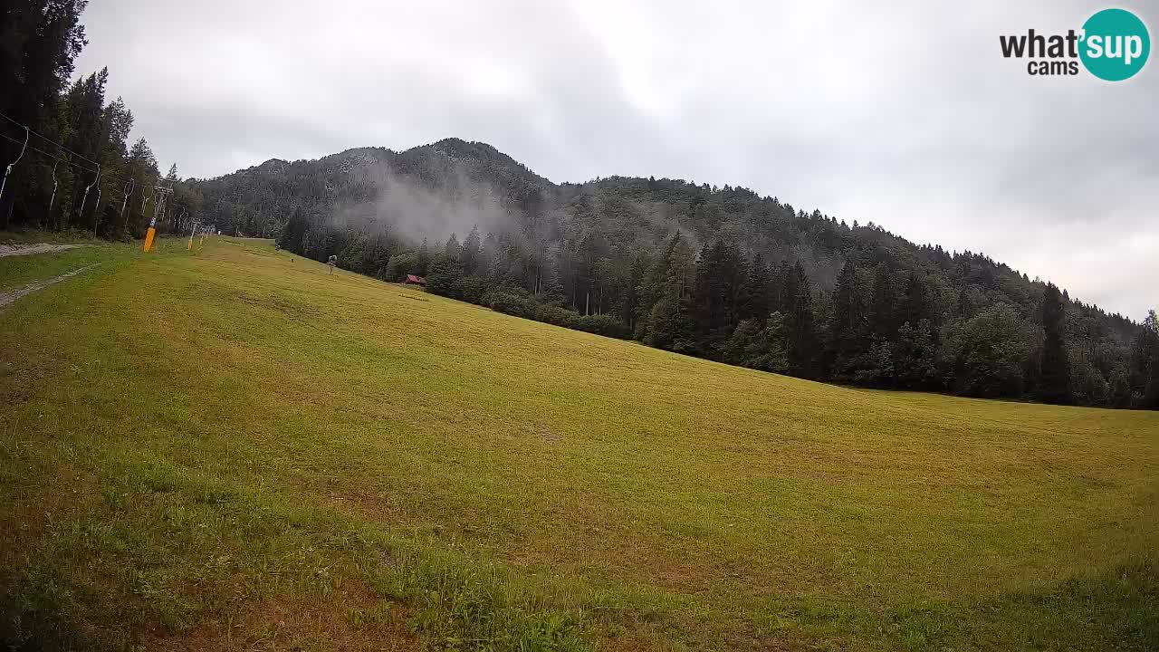 Esquí Kranjska Gora | Brsnina