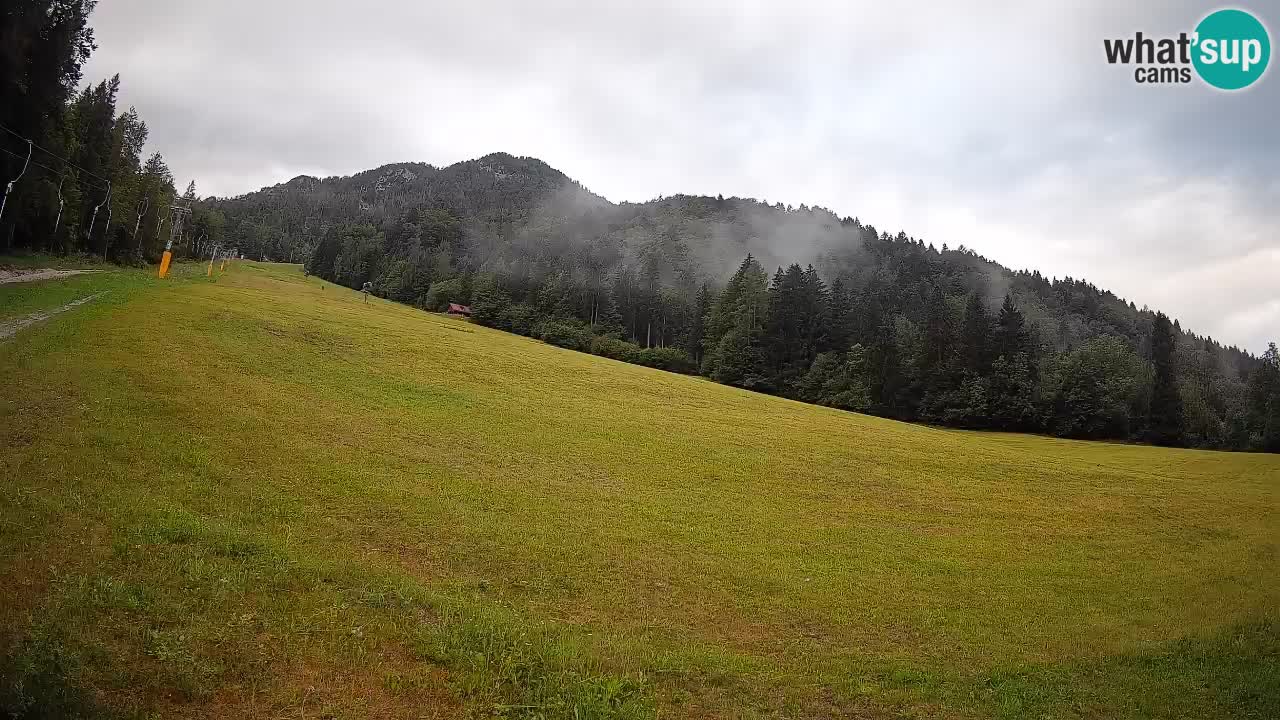 RTC Skigebiet Kranjska Gora | Brsnina