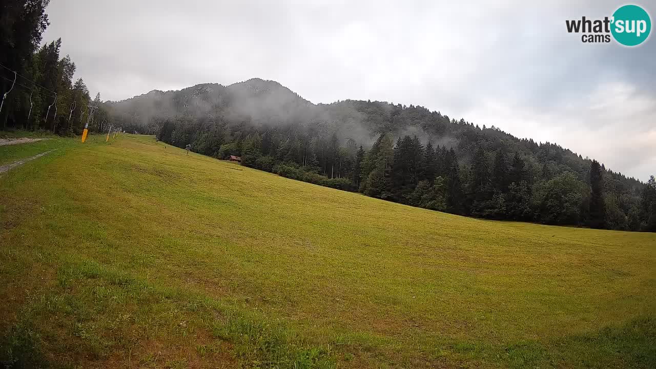 Comprensorio sciistico Kranjska Gora | Brsnina