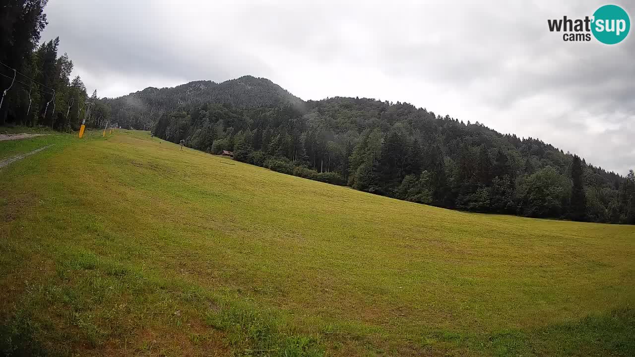 RTC Skigebiet Kranjska Gora | Brsnina