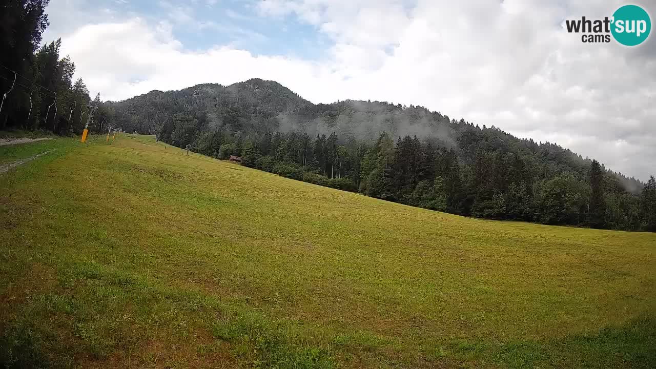 Kranjska Gora SKIJANJE | Brsnina