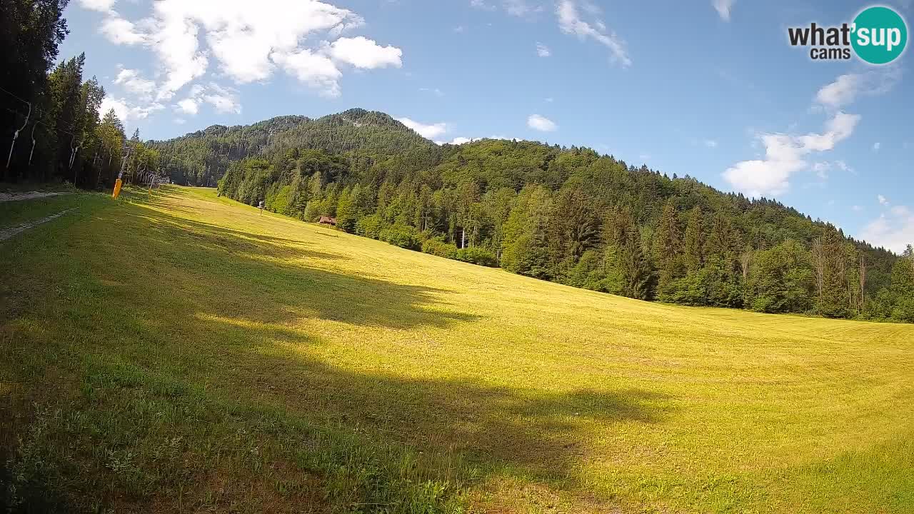 Ski Kranjska Gora | Brsnina