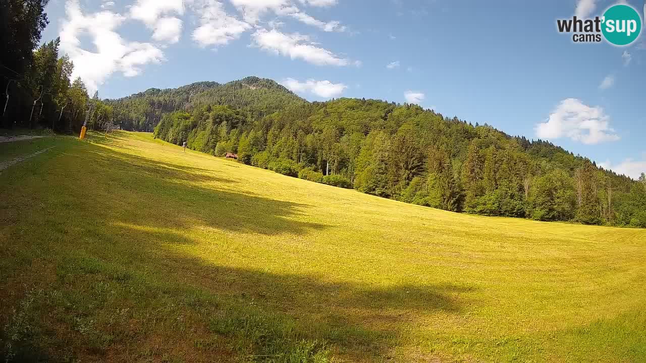 Ski Kranjska Gora | Brsnina