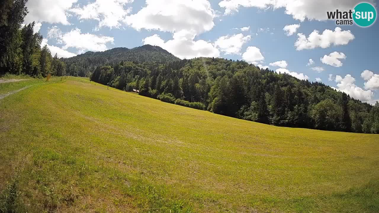 RTC Skigebiet Kranjska Gora | Brsnina