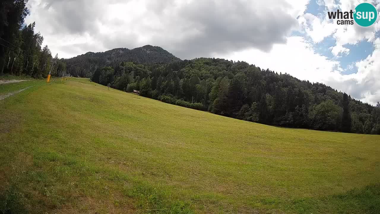 RTC Skigebiet Kranjska Gora | Brsnina