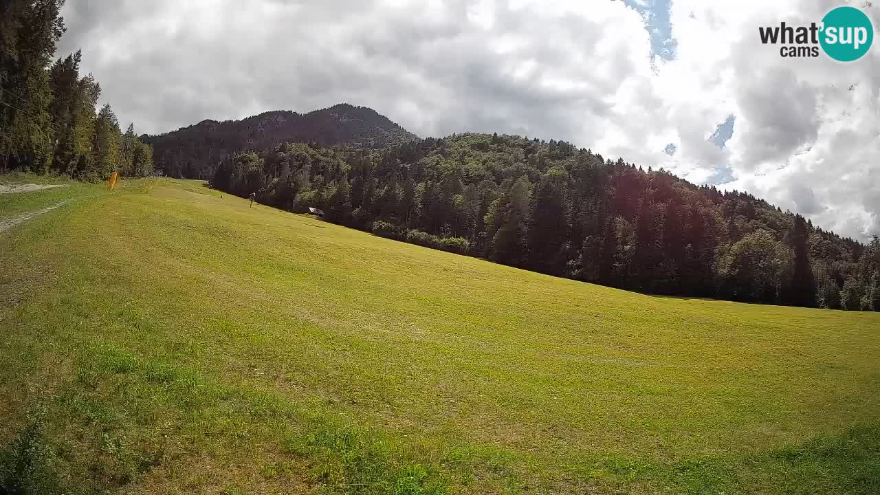 Comprensorio sciistico Kranjska Gora | Brsnina
