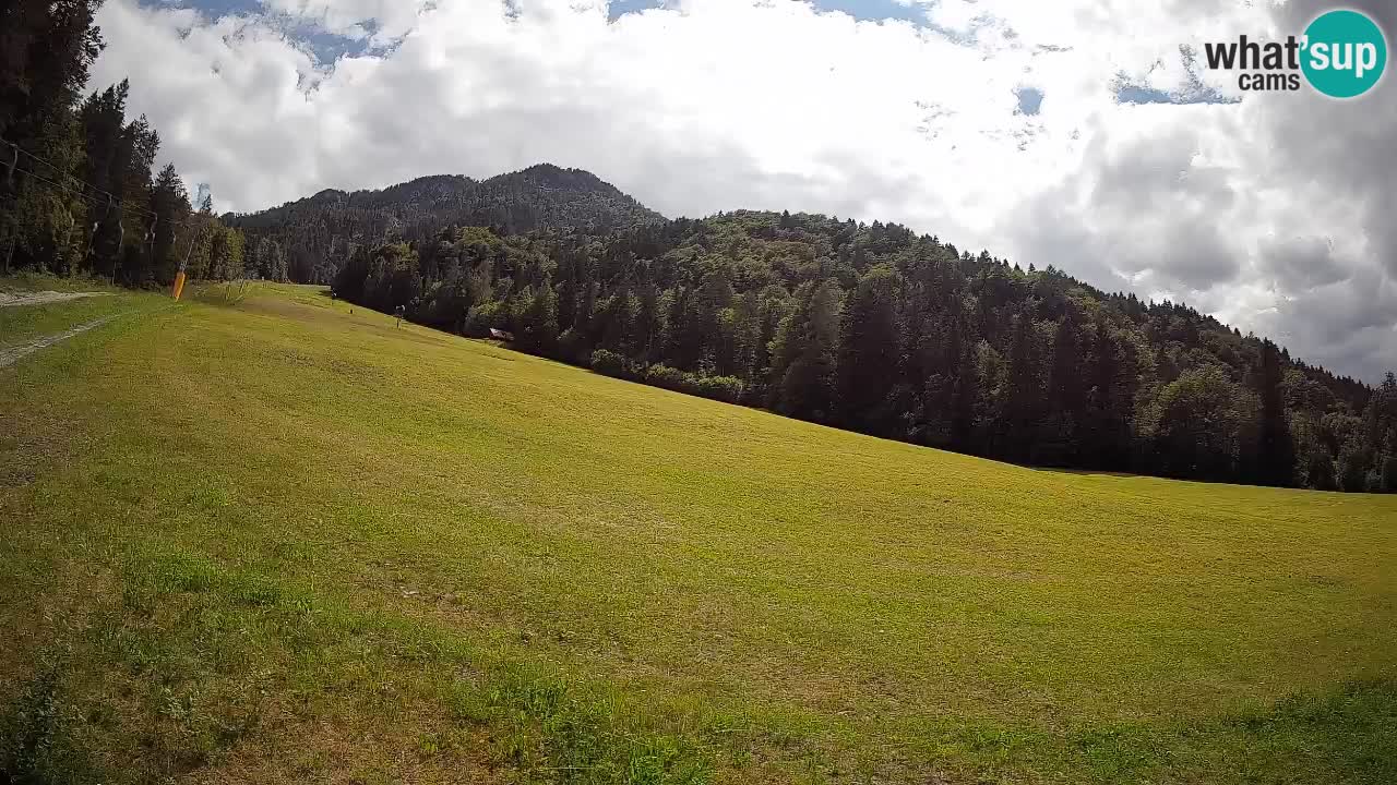 Esquí Kranjska Gora | Brsnina
