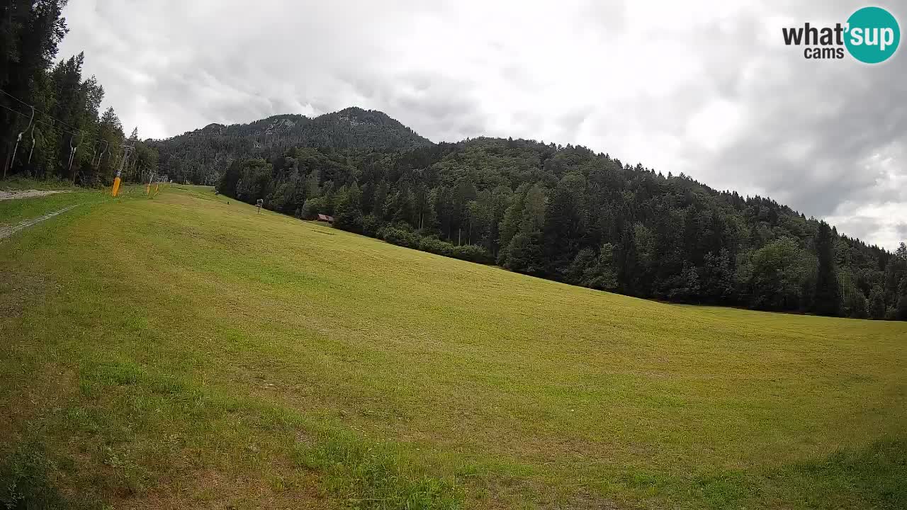 Kranjska Gora SKIJANJE | Brsnina