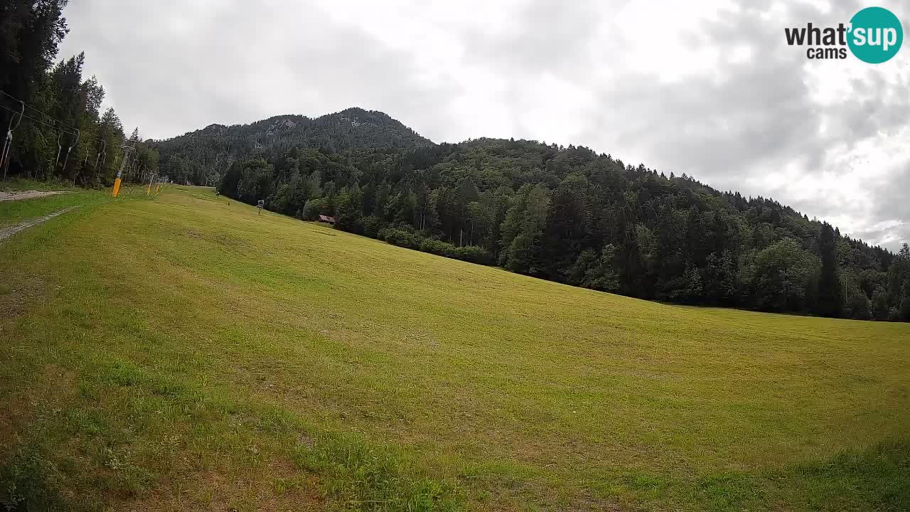 Kranjska Gora SKIJANJE | Brsnina