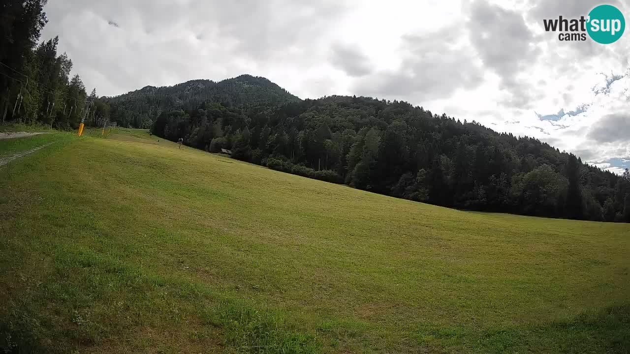 Esquí Kranjska Gora | Brsnina